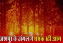 JASHPUR NEWS : आग ही आग, ये आग कब बुझेगी.! जशपुर की जंगलों में आग लगने से जंगल जलकर हो रही खाक…बेसुध पड़ा है विभाग…पढ़ें हैं पूरी खबर