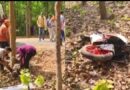 Jashpur Accident BREAKING : दर्दनाक सड़क हादसा…तेज रफ्तार बाइक अनियंत्रित होकर पेड़ से जा टकराई…हादसे में दो युवकों की मौके पर दर्दनाक मौत…पढ़ें पूरी खबर