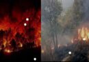 JASHPUR NEWS : जशपुर में लीफ ब्लोअर से आग बुझाने का प्रयास…3 साल में जंगल में आगजनी की 2111 घटनाएं…पढ़ें पूरी खबर